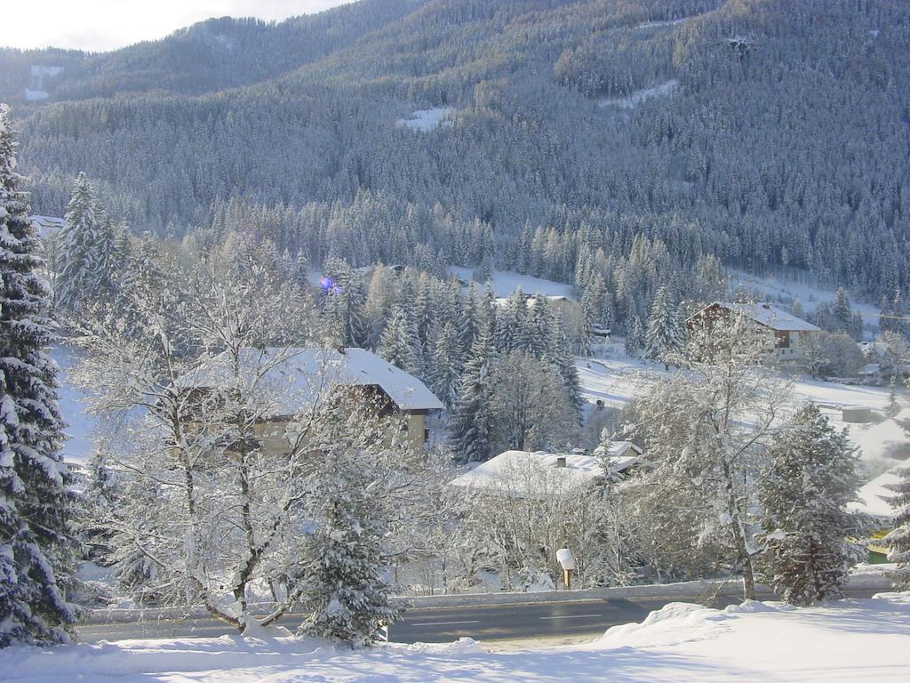 Haralds Ferienwohnungen Bad Kleinkirchheim Værelse billede