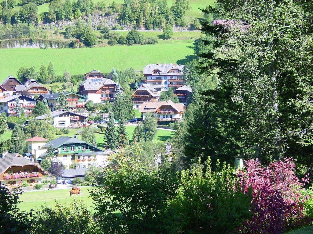 Haralds Ferienwohnungen Bad Kleinkirchheim Værelse billede