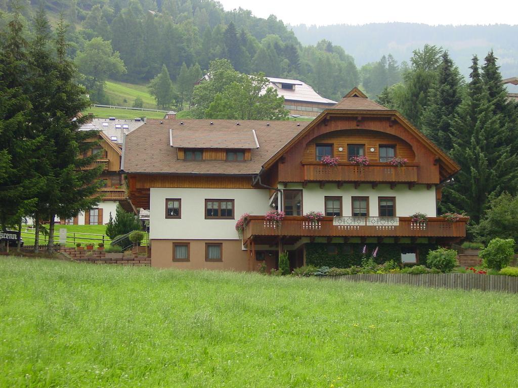 Haralds Ferienwohnungen Bad Kleinkirchheim Værelse billede